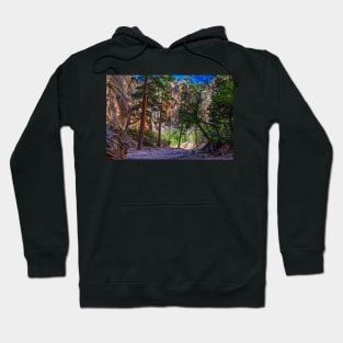 Lick Wash Trail Hike Hoodie